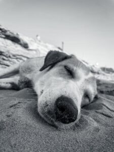 integrative medicine for insomnia treatment